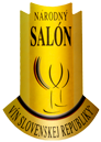 salon-vn-.png